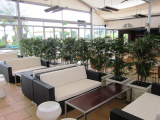 1.5m_bamboo.jpg