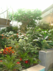 190_large_indoor_garden_109.jpg