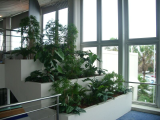 artificial_garden_2.jpg