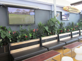 artificial_garden_3.jpg