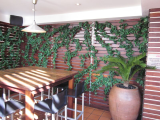 pothos_vines.jpg