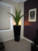 1.4m Tall succulent in 107cm black cube
