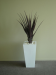 Burgundy succulent in 82cm white pot