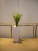 Green succulent in 82cm silver pot