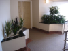 Indoor Strata gardens