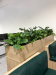 Artificial plants for Office plants