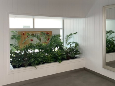 Artificial plants for Strata Foyers
