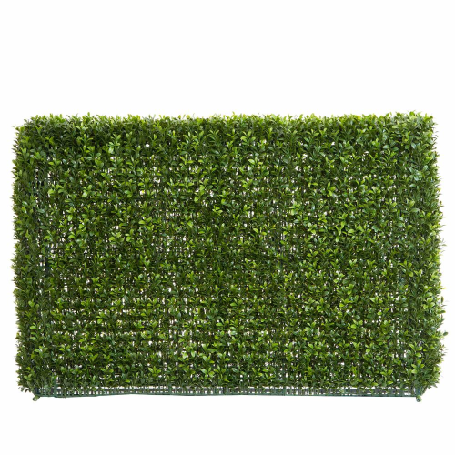 Boxwood hedge 55Hx 95L|