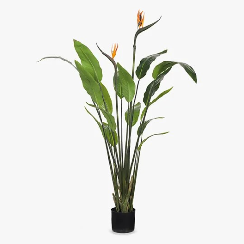 Bird of paradise 120cm|