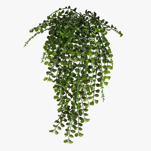 Pea Leaf Hanging Bush (UV)|