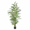 Phoenix Palm H229cm|Natural looking Palm, perfect for cluster displays or as a stand alone feature.