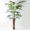 Kentia palm 305cmH|